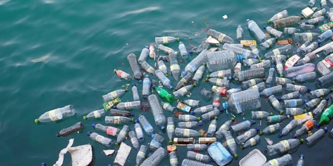 Plástico - La Razón Nl