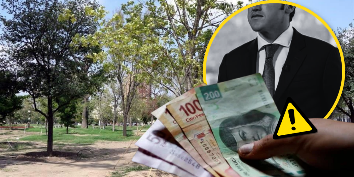 Reforestación Extrema - La Razón Nl Reforestación Extrema - La Razón Nl