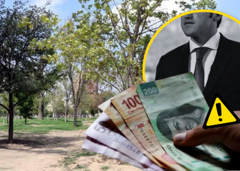 Reforestación Extrema