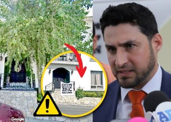 glen-villarreal-diputado-ambientalista-tala-árboles