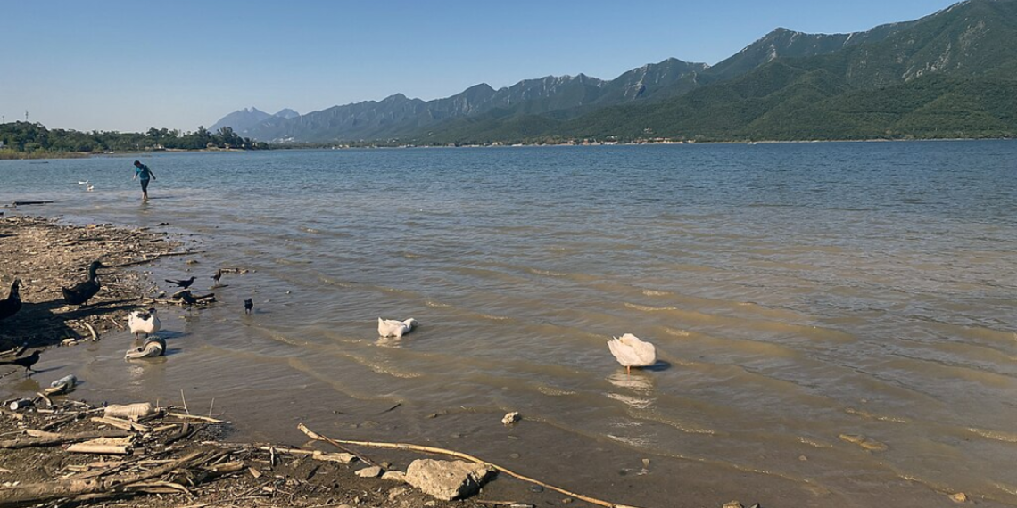 Río Santa Catarina - La Razón Nl