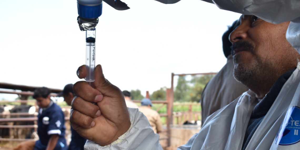 Producción Bovina - La Razón Nl