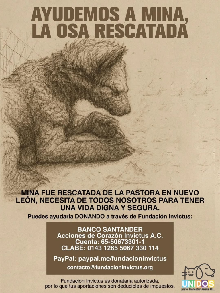 El Caso De La Osa Mina Y Los Rumores De Venta Ilegal De Animales Ha Encendido La Preocupación Sobre El Zoológico La Pastora.