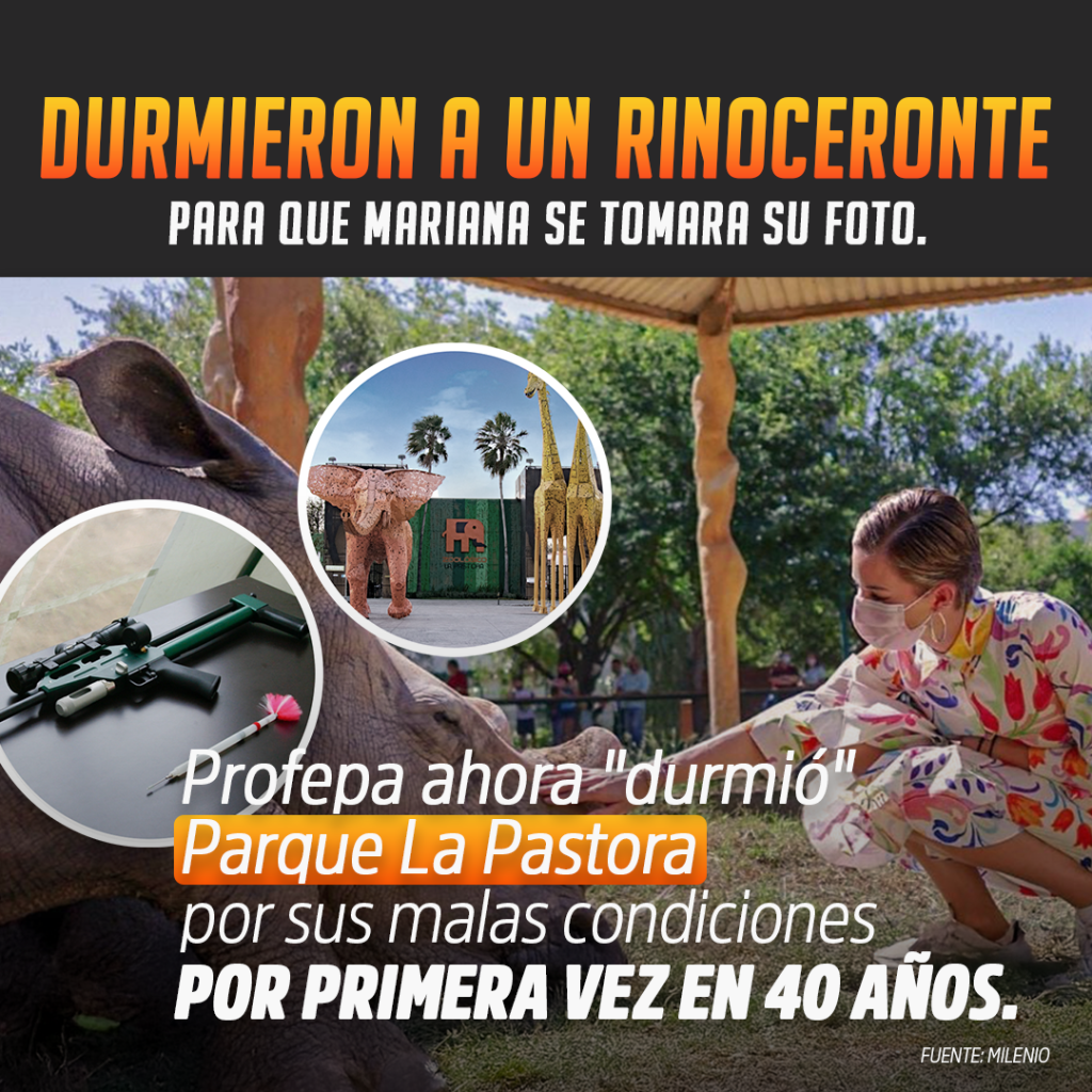 Img-profep La Pastora - La Razón Nl Los Escándalos Se Acumulan En Torno Al Zoológico La Pastora.