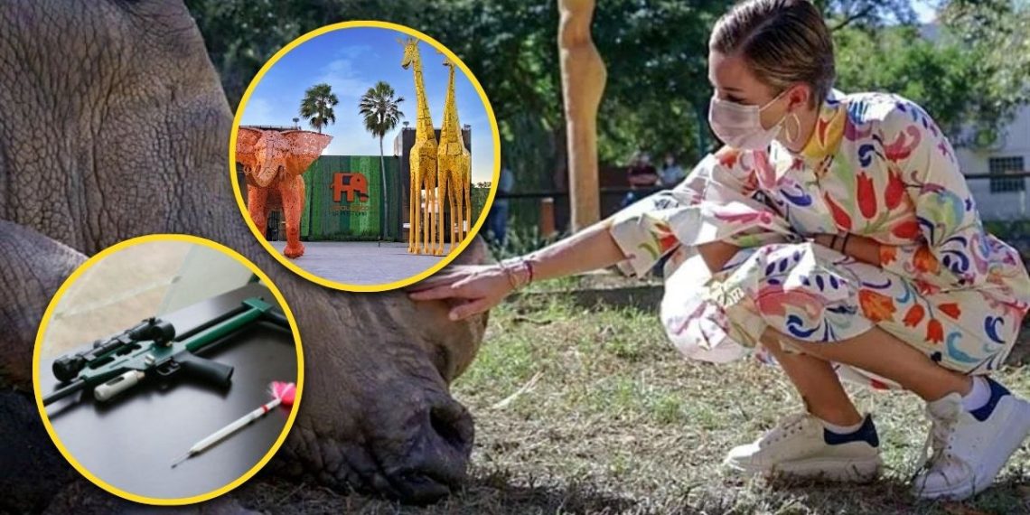 Mariana Y El Zoológico La Pastora - La Razón Nl - La Razón Nl Mariana Y El Zoológico La Pastora - La Razón Nl - La Razón Nl