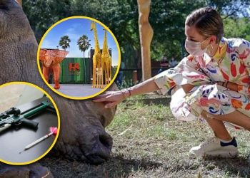 Mariana Y El Zoológico La Pastora - La Razón Nl - La Razón Nl Mariana Y El Zoológico La Pastora - La Razón Nl - La Razón Nl