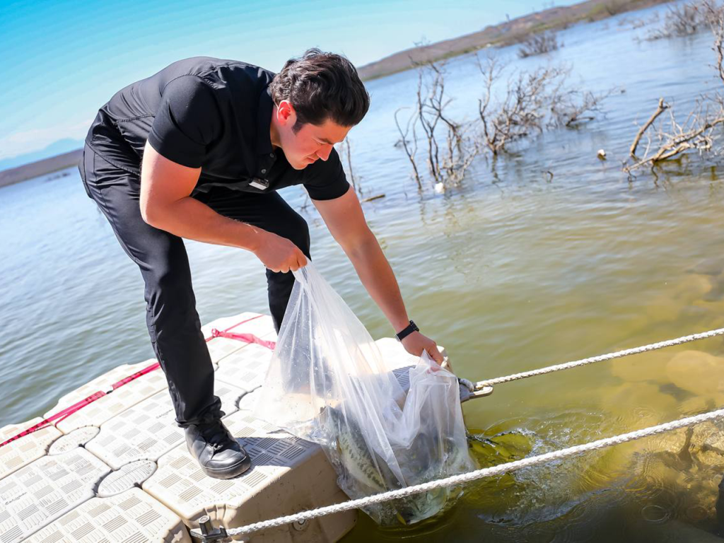 Image - La Razón Nl Deuda a Uanl Aumenta Presión De Samuel García Sobre Presa León
