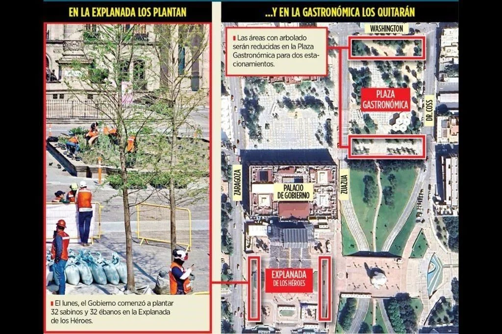 Image - La Razón Nl Samuel García Quiere Destruir La Plaza Gastronómica Y Hace Tala De Árboles