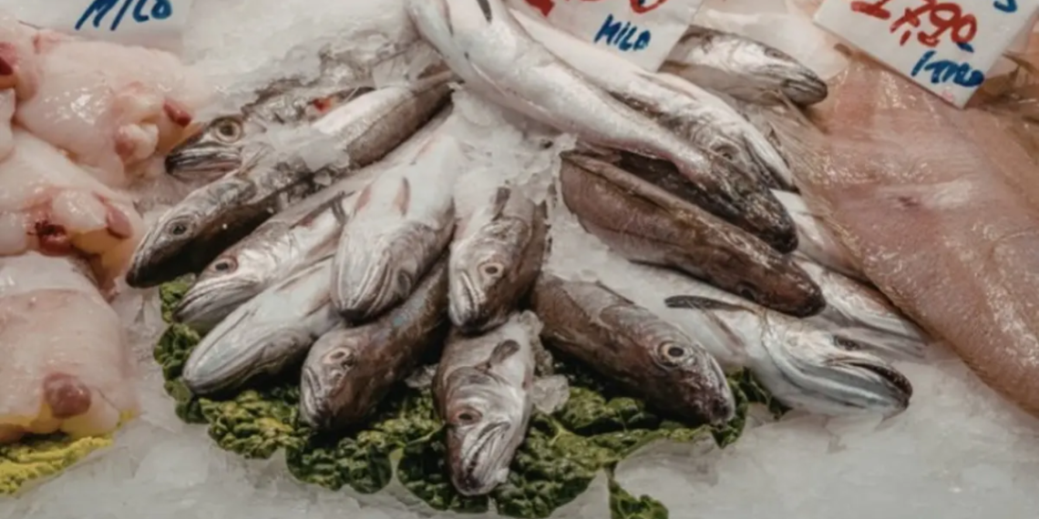 Cuaresma-en-nuevo-león-mercado-juárez-mariscos - La Razón Nl Cuaresma-en-nuevo-león-mercado-juárez-mariscos - La Razón Nl