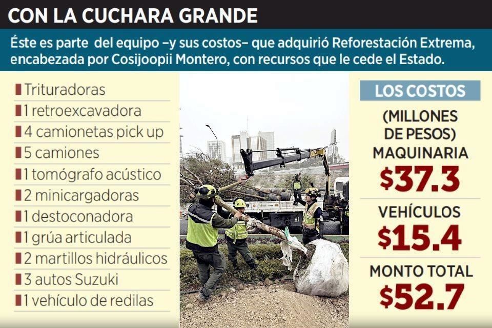 ReforestaciÓn Extrema Samuel GarcÍa Millones - La Razón Nl - La Razón Nl