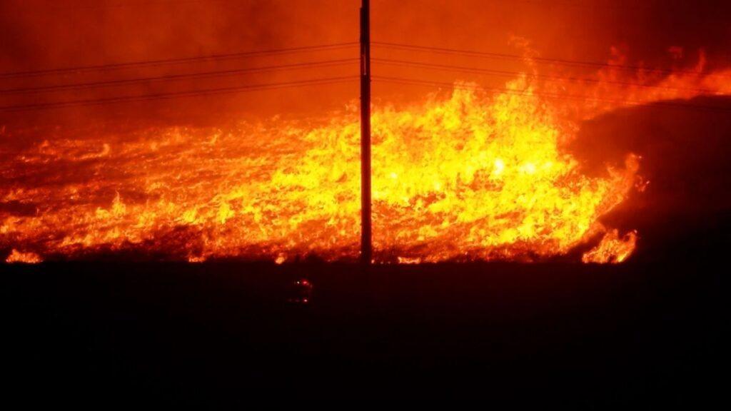 Incendios Forestales En Miami Consumen Vegetación - La Razón Nl