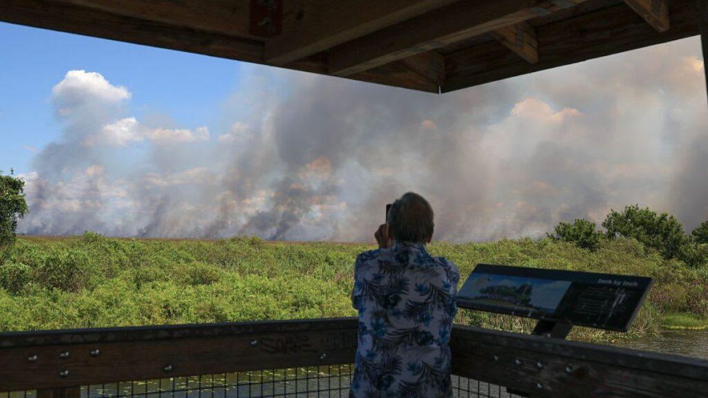 Incendios Forestales En Miami Consumen Vegetación - La Razón Nl