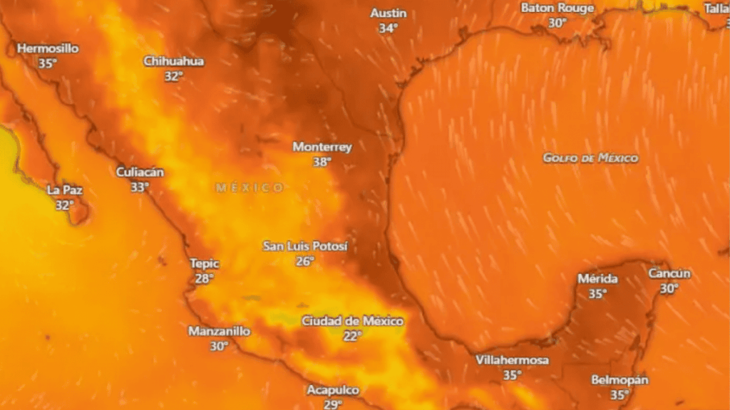 Negligencia Por Calor En Nuevo León - La Razón Nl